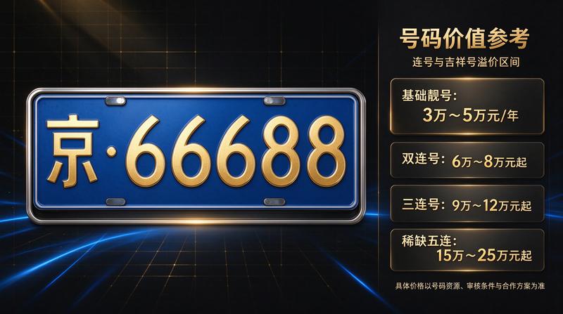 新能源汽车租赁市场分析